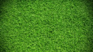 כמה עולה דשא סינתטי?